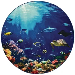 Explore the Ocean 6' Round Pixel Perfect Carpet