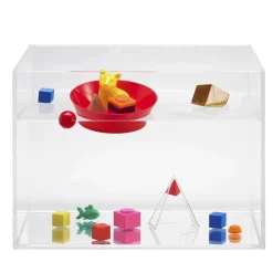 Float or Sink Fun