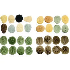 Footprints, Bugs & Fossils Stones - Set of 32