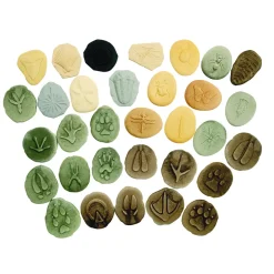 Footprints, Bugs & Fossils Stones - Set of 32