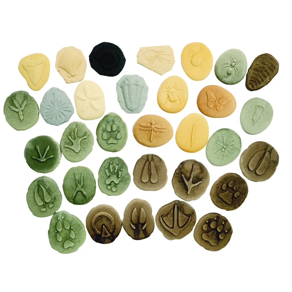 Footprints, Bugs & Fossils Stones - Set of 32
