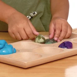 10 Frame Tray