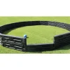 Gaga Ball Pit Outdoor 20' (Inground Mount)