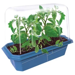 Garden Grow Kit - Greenhouse + 6 plants