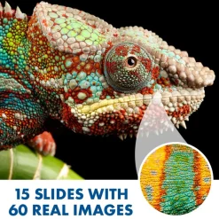 GeoSafari® Jr. Kidscope