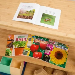 Grow Your Own Basil, Green Beens, Sunflowers, & Tomatoes - 4 books