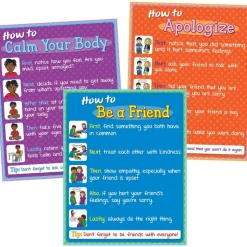 How To - Social/Emotional Poster Set