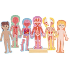 Human Body Magnetic Puzzle - 63pcs