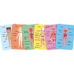 Human Body Magnetic Puzzle - 63pcs