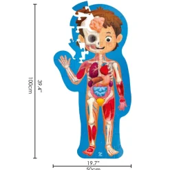Human Body Puzzle - 60pcs in carry case