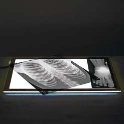 Human X-Rays - Set of 18