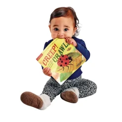 Indestructibles®: The Itsy Bitsy Spider