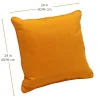 24" Indoor/Outdoor Pillows, 2 Pack - Marigold