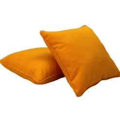 24" Indoor/Outdoor Pillows, 2 Pack - Marigold