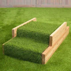 Infant Step & Ramp