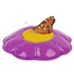 Insect Lore® Butterfly Garden