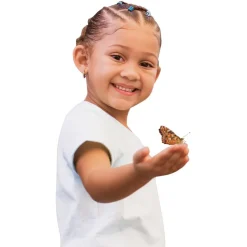 Insect Lore® Butterfly Garden