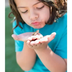 Insect Lore® Butterfly Garden