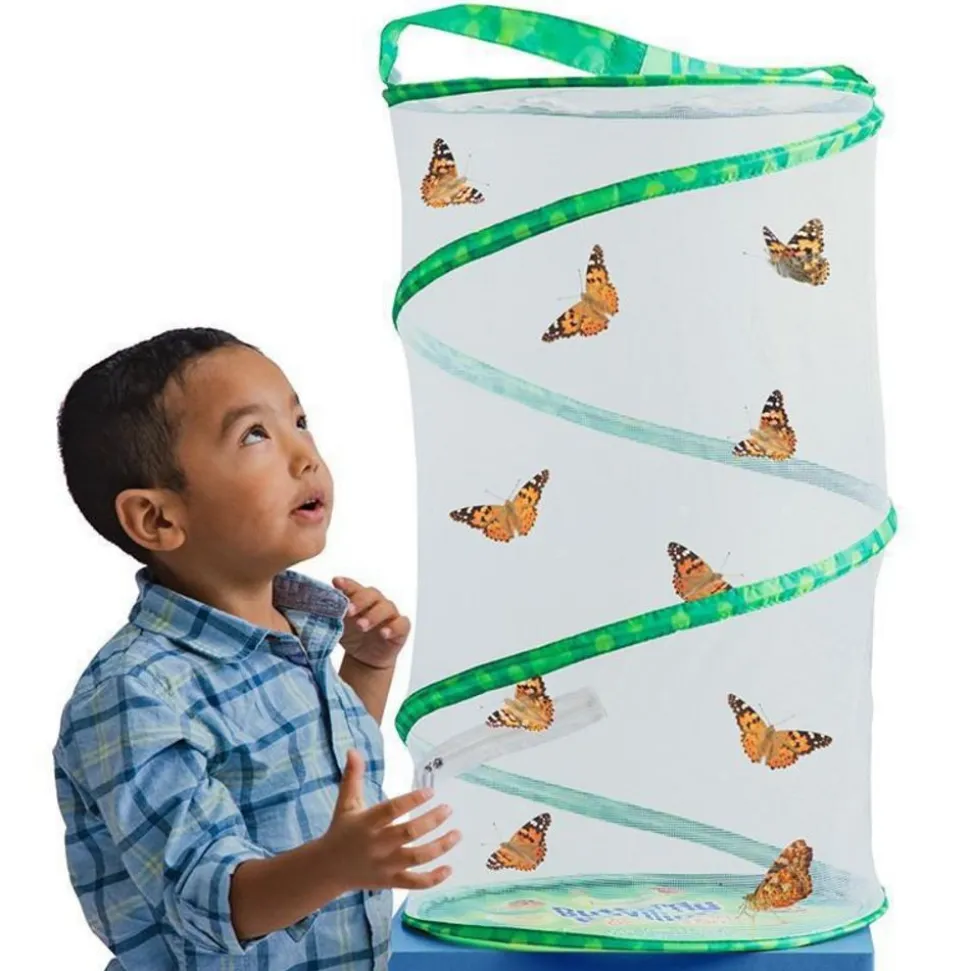 Insect Lore® Butterfly Garden Classroom Set