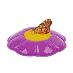 Insect Lore® Butterfly Garden Classroom Set