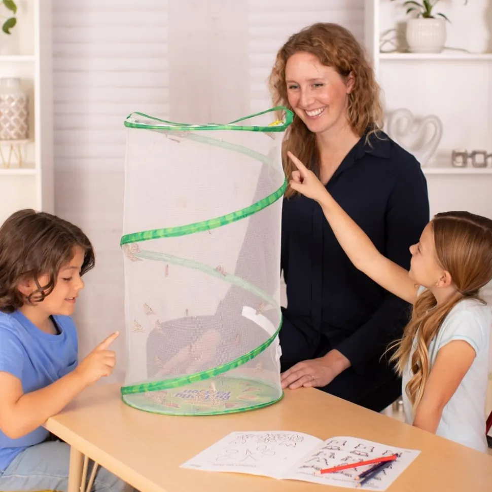 Insect Lore® Butterfly Garden Classroom Set
