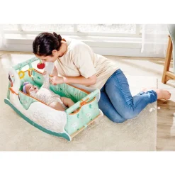 2-in-1 Swan Seat - Baby & Toddler Rocker