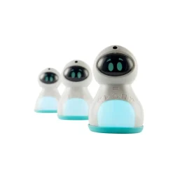 Kitt Classroom Set of 6