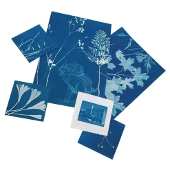 Large Sunprint® Kit - 8" x 10" - 15 sheets