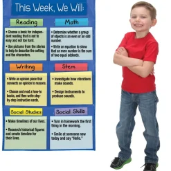 Learning Goals Pocket Chart™ - 1 pocket chart, 14 cards