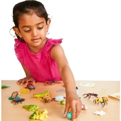 Life Cycle Figurines - 24 Pieces