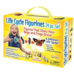Life Cycle Figurines - 24 Pieces