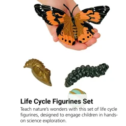 Life Cycle Figurines - 24 Pieces