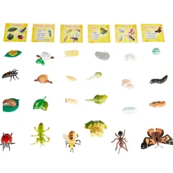 Life Cycle Figurines - 24 Pieces