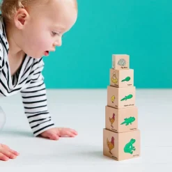 Life Cycles Blocks and Puzzles