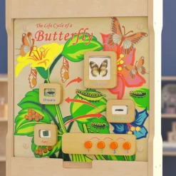 Life Cycle Wooden STEAM Board
