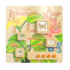 Life Cycle Wooden STEAM Board