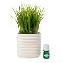 Lifelines Faux Plant Diffuser - Grass Plant
