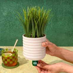 Lifelines Faux Plant Diffuser - Grass Plant