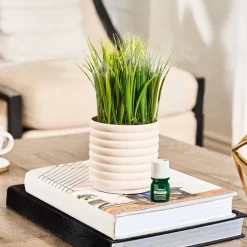 Lifelines Faux Plant Diffuser - Grass Plant