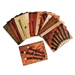 Match & Measure Dino Bone Cards
