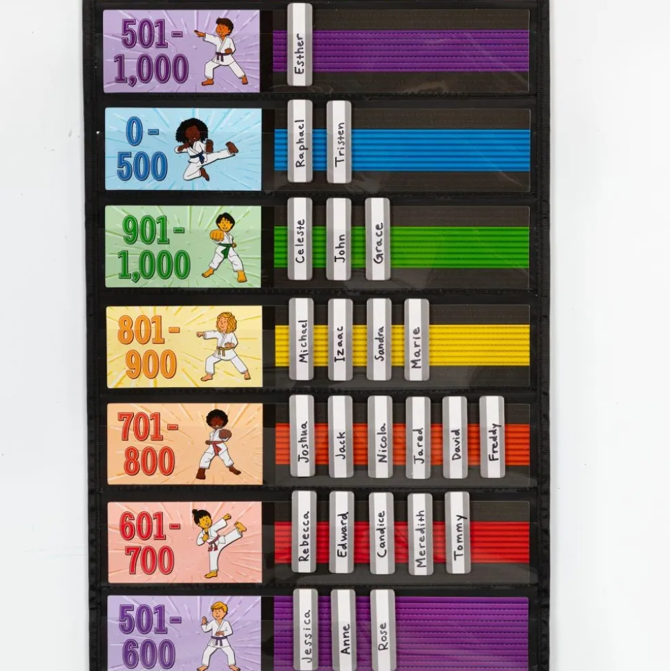 Math Facts Karate System Addition And Subtraction Through 1,000 - 1 pocket chart system