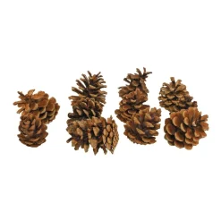 Medium Craft Pinecones - 12 Pieces