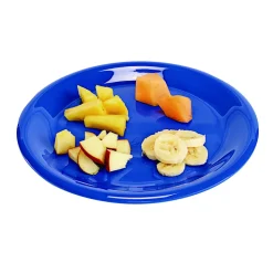 Melamine 9" Plate- Blue