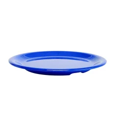 Melamine 9" Plate- Blue
