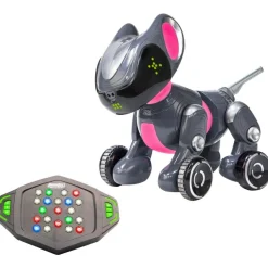 Memory & Coding Set