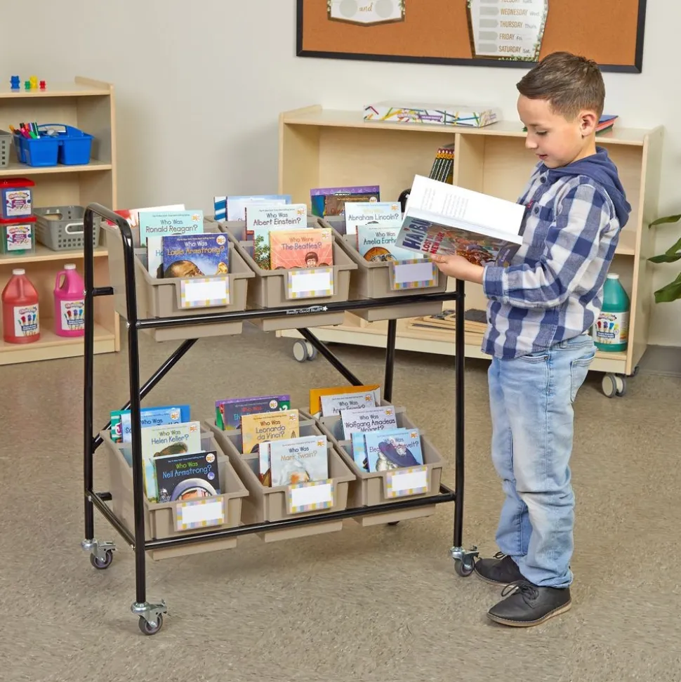 Mid-Size Mobile Storage Rack With Chapter Book Bins™ - 1 rack, 6 bins