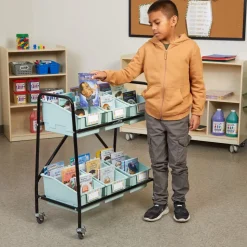 Mid-Size Mobile Storage Rack With Chapter Book Bins™ - 1 rack, 6 bins