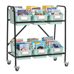 Mid-Size Mobile Storage Rack With Chapter Book Bins™ - 1 rack, 6 bins