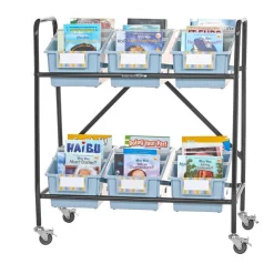 Mid-Size Mobile Storage Rack With Chapter Book Bins™ - 1 rack, 6 bins