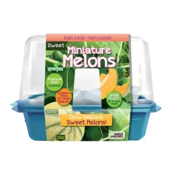 Miniature Melons
